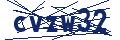 Captcha code required for form validation